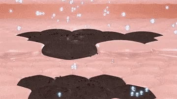 🏵️ NESLEMY™ Whitening and Spot-Removing Face Mask Suitable for face and body